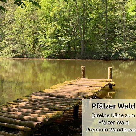 Psapartment Am Pfaelzer Wald Naehe Outlet Center Zweibruecken Pirmasens Exterior photo