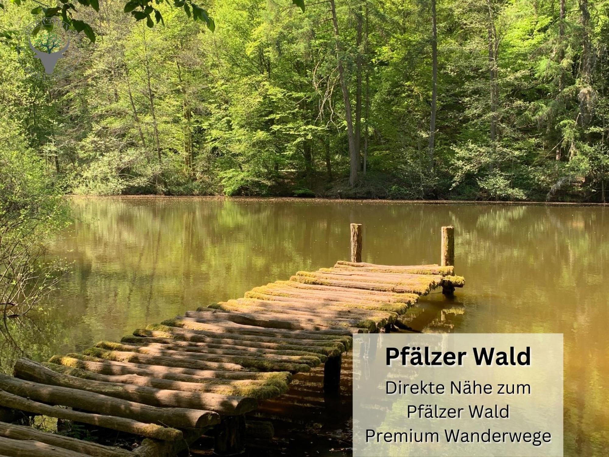 Psapartment Am Pfaelzer Wald Naehe Outlet Center Zweibruecken Pirmasens Exterior photo